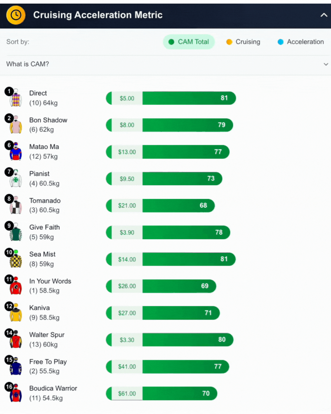 Feature: CRUISING ACCELERATION METRIC (CAM)